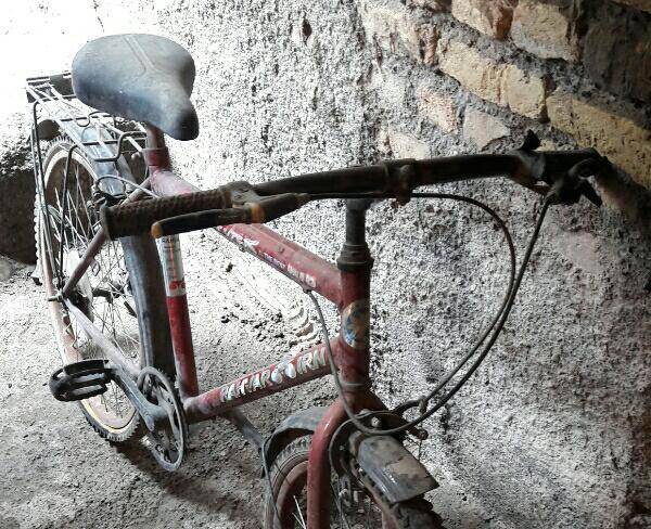 دوچرخه ۲۴ در علی آباد کتول
