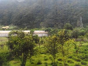 فروش زمین سند دار متری 250هزار تومان در رامسر