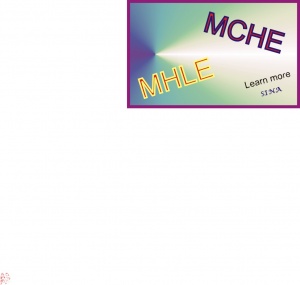 برگزاری دوره آمادگی آزمون MCHE , MHLE
