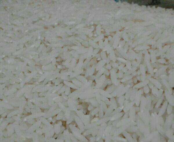 برنج ایرانی مازندران فریدونکنار ۱۰۰% تضمینی