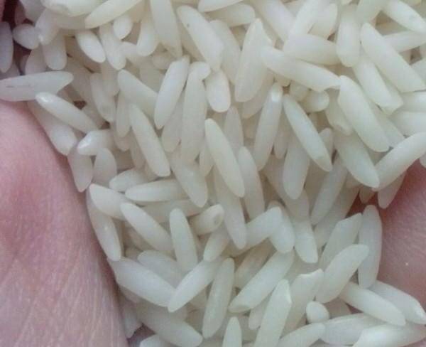 فروش برنج درجه١فریدونکنار