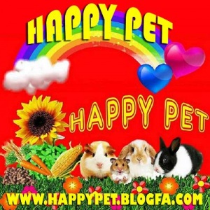 پوشال و انواع غذای (خوکچه،خرگوش،همستر)happy pet