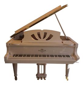 فروش ویژه پیانو های برگمولر آلمان