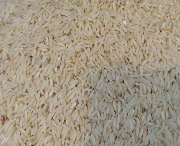 برنج آستانه اشرفیه