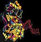 آنزیم نماینده فروش نانو ذرات سیتوکنین اسید چرب قند Gibberellin auxin