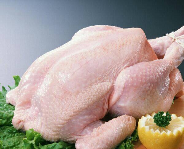 فروش مرغ زنده گوشتی(توجه کنید ، نژاد گوشتی)ارگانیک