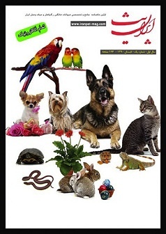 ایران پت اولین مجله الکترونیکی حیوانات خانگی