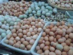 فروش تخم مرغ محلی نطفه دار:350 تومان