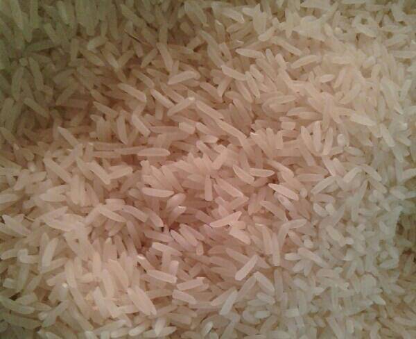 فروش عمده وجزیی برنج فجر