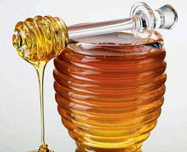عسل طبیعی انگبین مخصوص (دیابتی)