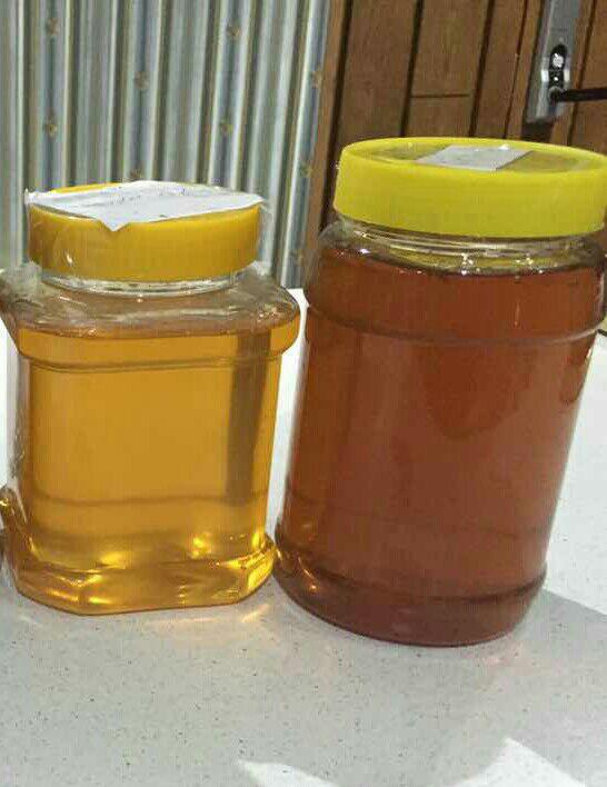 فروش عسل طبیعی کوهستان الوند همدان به درب منزل
