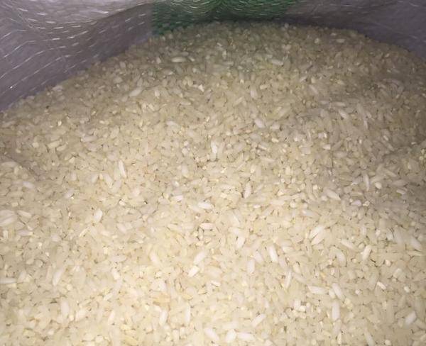 فروش برنج دوقد(لاشه)وبرنج رجه١
