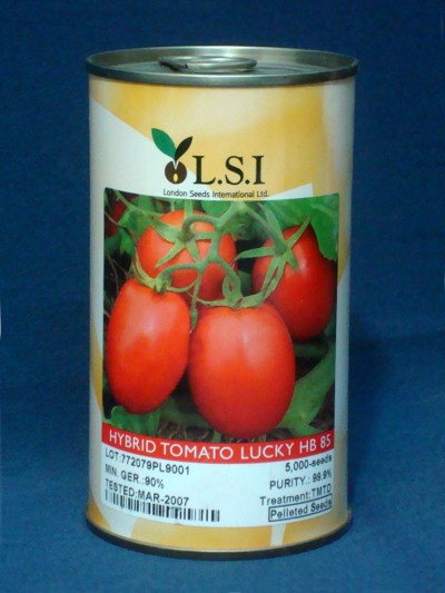 فروش بذر گوجه فرنگی سوپر اوربانا