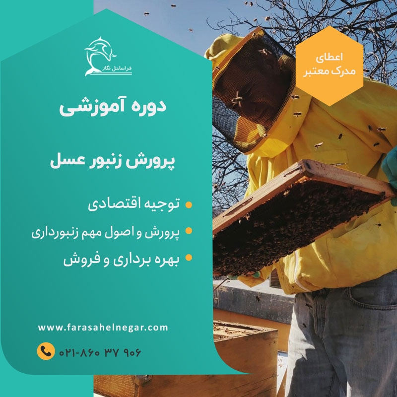 دوره آموزشی پرورش زنبور عسل و تولید عسل