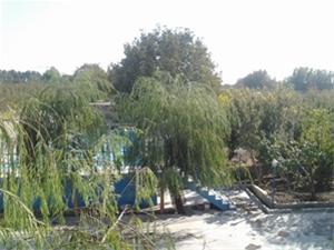 فروش 3200 باغ  بناداردربهترین منطقه شهریارکد125