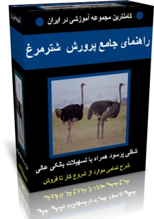 آموزش پرورش شتر مرغ در ایران
