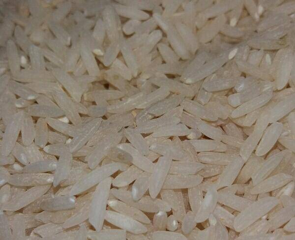 برنج طارم درج یک