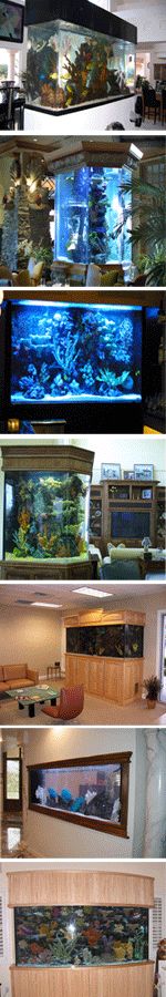آکواریوم-Aquarium- ساخت آکواریوم با جدیدترین متدهای روز- روان درمانی از طریق استفاده رنگها و طبیعت زنده در آکواریوم منزل شما - ساخت آکواریوم با پایه ه