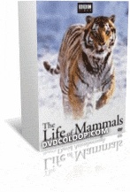 مستند زندگی پستانداران ( The Life of Mammals)