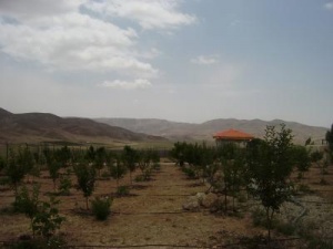 قیمت زمین گرمابسرد دماوند حومه تهران با سند و مجوز چاه