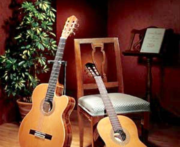تدریس خصوصی گیتار جلسه اول رایگان
