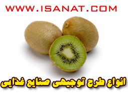 www.isanat.com ارائه طرح توجیهی صنایع غذایی