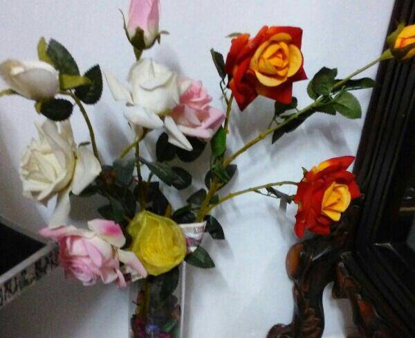 گل و گلدان نو