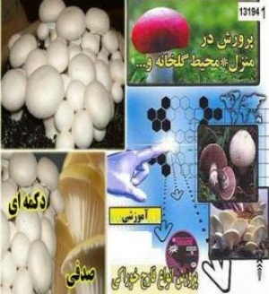 کامل ترین و جامع ترین مجموعه پرورش و تولید قارچ در ایران