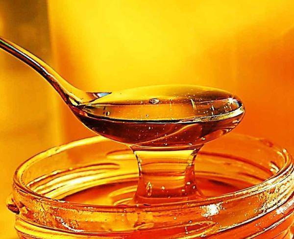 عسل خوانسار 25 درصد تخفیف