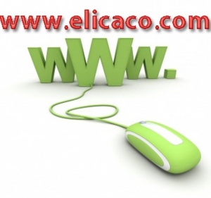 Real time web service - Domain registration - Web hosting - Design