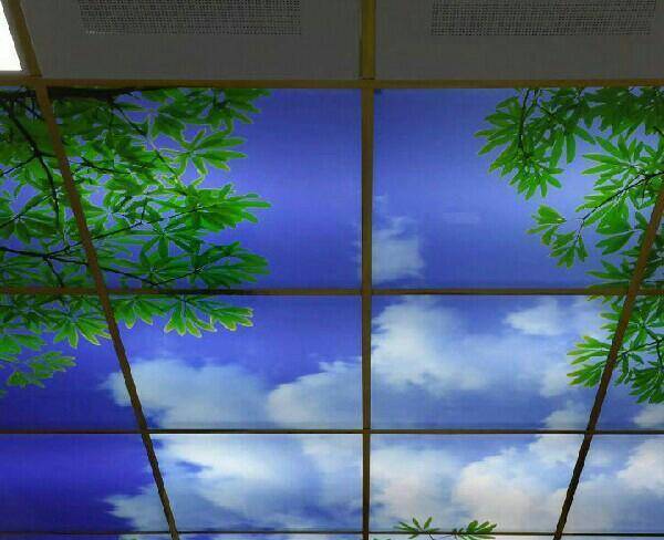 سقف تصویری (آسمان مجازی )
