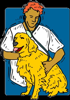 خدمات دامپزشکی حیوانات خانگی (مجموعه پت استار)