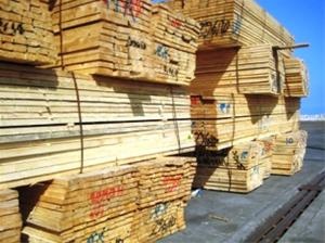 فروش چوب الوار نراد(چوب تخته روسی)