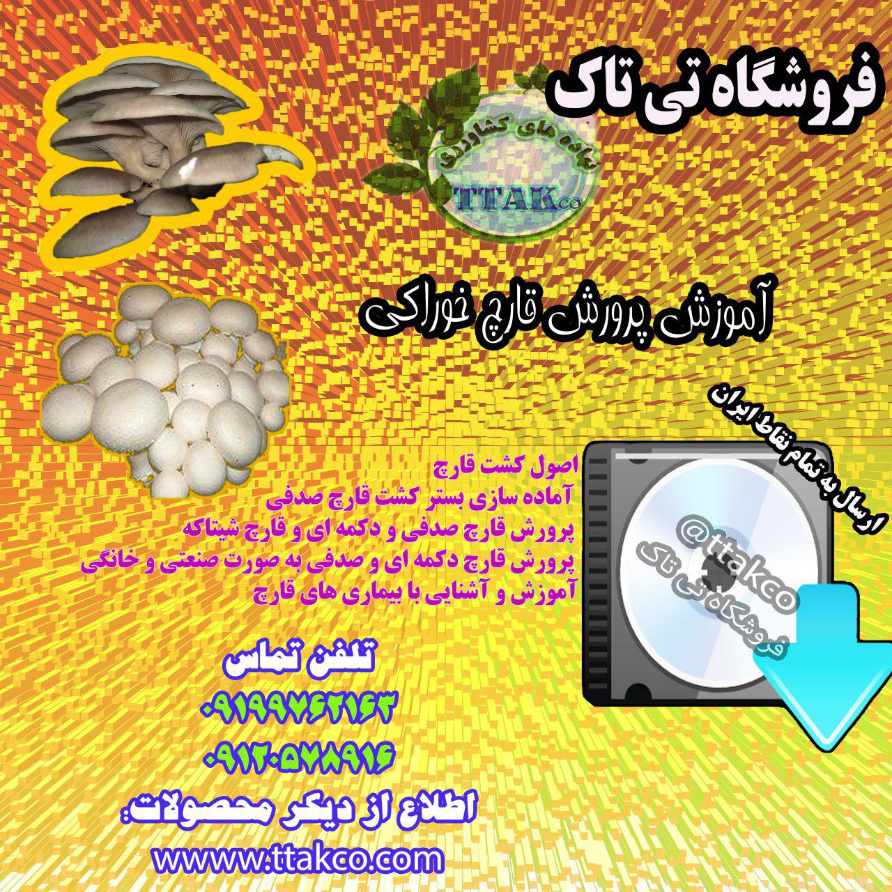تولید و فروش بذر قارچ خورای 09199762163