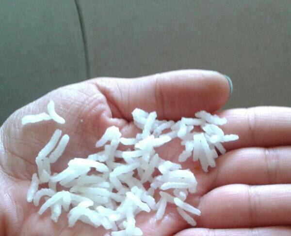فروش برنج ایرانی