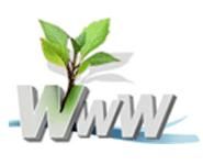 طراحی و برنامه نویسی صفحات وب