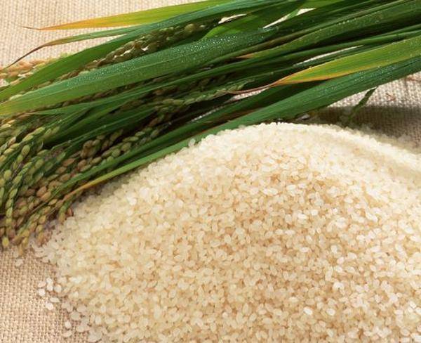 پخش عمده برنج اعلاءایرانی