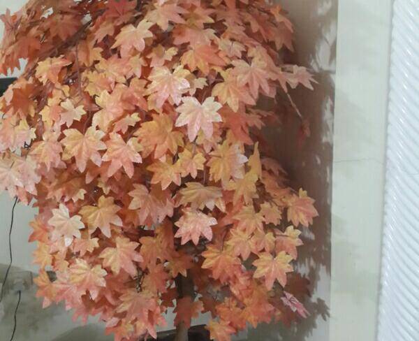 درخت چنار پاییزی