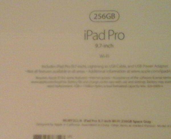 iPad Pro WiFi 9.7 inch 256 GB Space ...