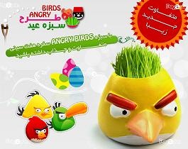 سبزه عید طرح ANGRY BIRDS