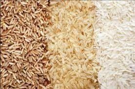 فروش شلتوک و سبوس برنج