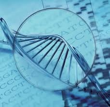 سنتز پرایمر و تعیین توالی (Primer synthesis &DNA sequencing)