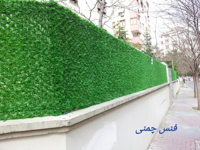 فنس چمنی . دیوار سبز