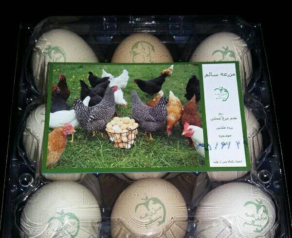 فروش عمده تخم مرغ محلی کاملا بهداشتی و ...