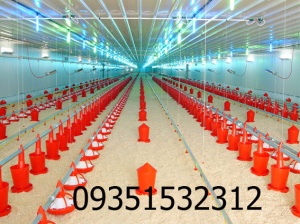 سالن مرغداری با عرض 20 تا 50 متر و بمساحت تا5000 مترمربع و ظرفیت صدهزار قطعه در یک سالن