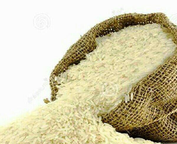 نیازمند5 تن برنج کامفیروزی اصل