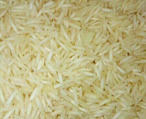 فروش برنج از شالیزارهای پاکستان