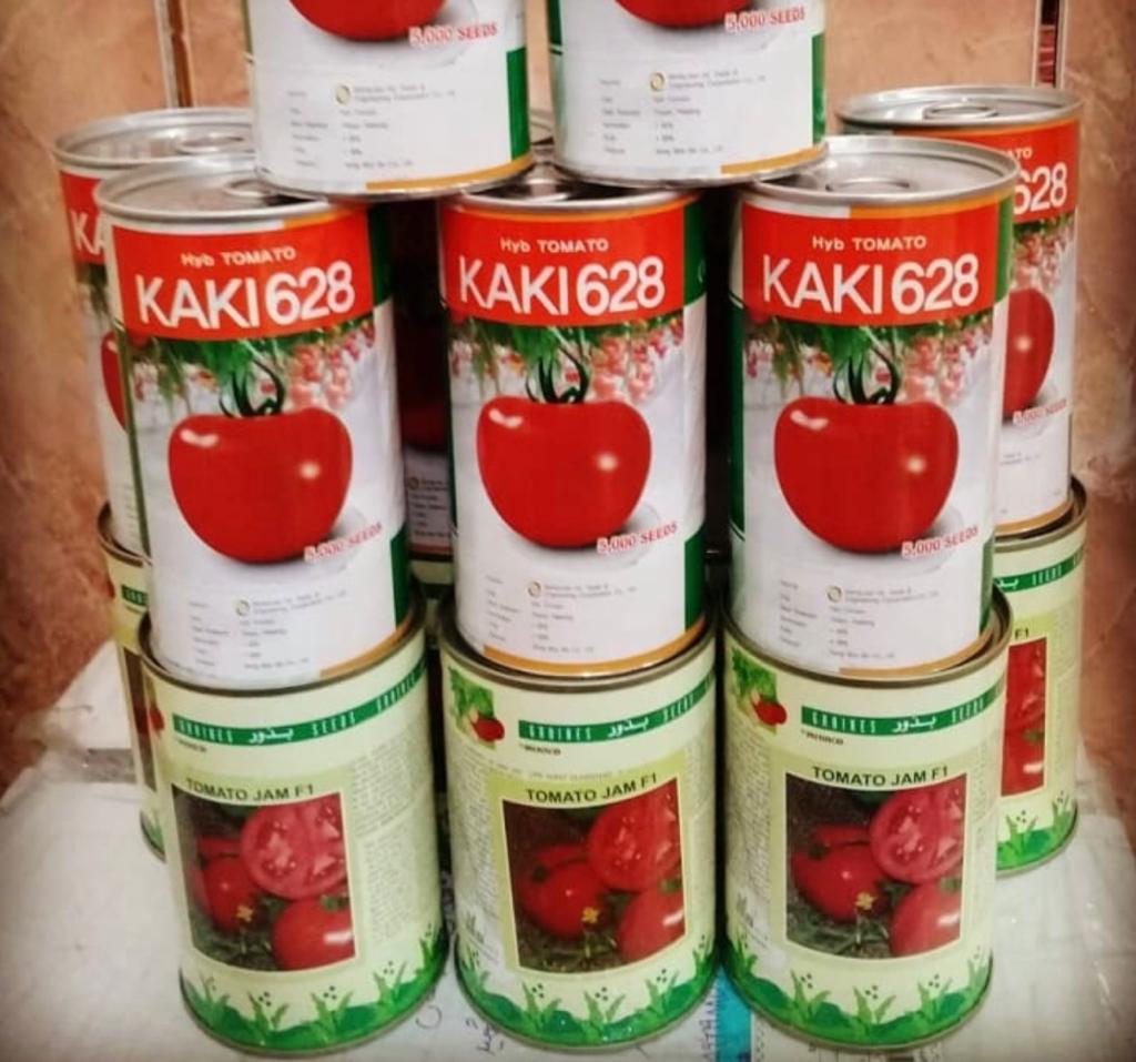 فروش بذر گوجه فرنگی کاکی 628