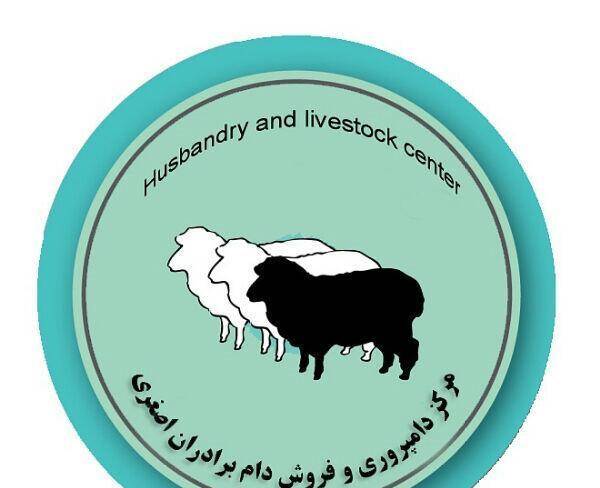 فروش ویژه گوسفند برای عید قربان