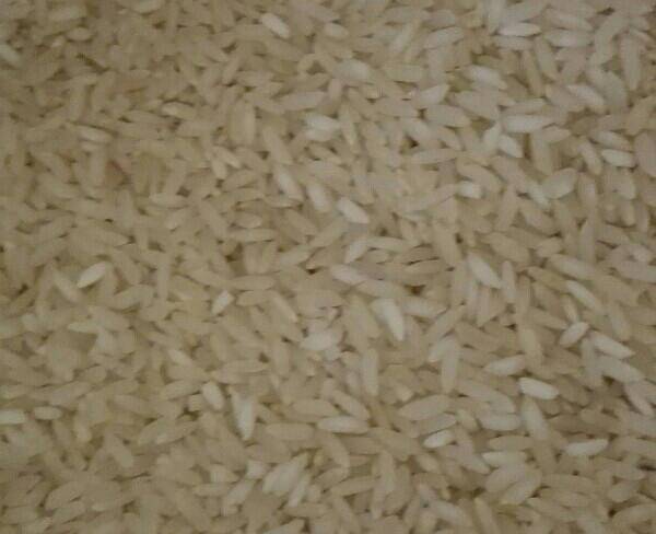 فروش عمده برنج لنجان